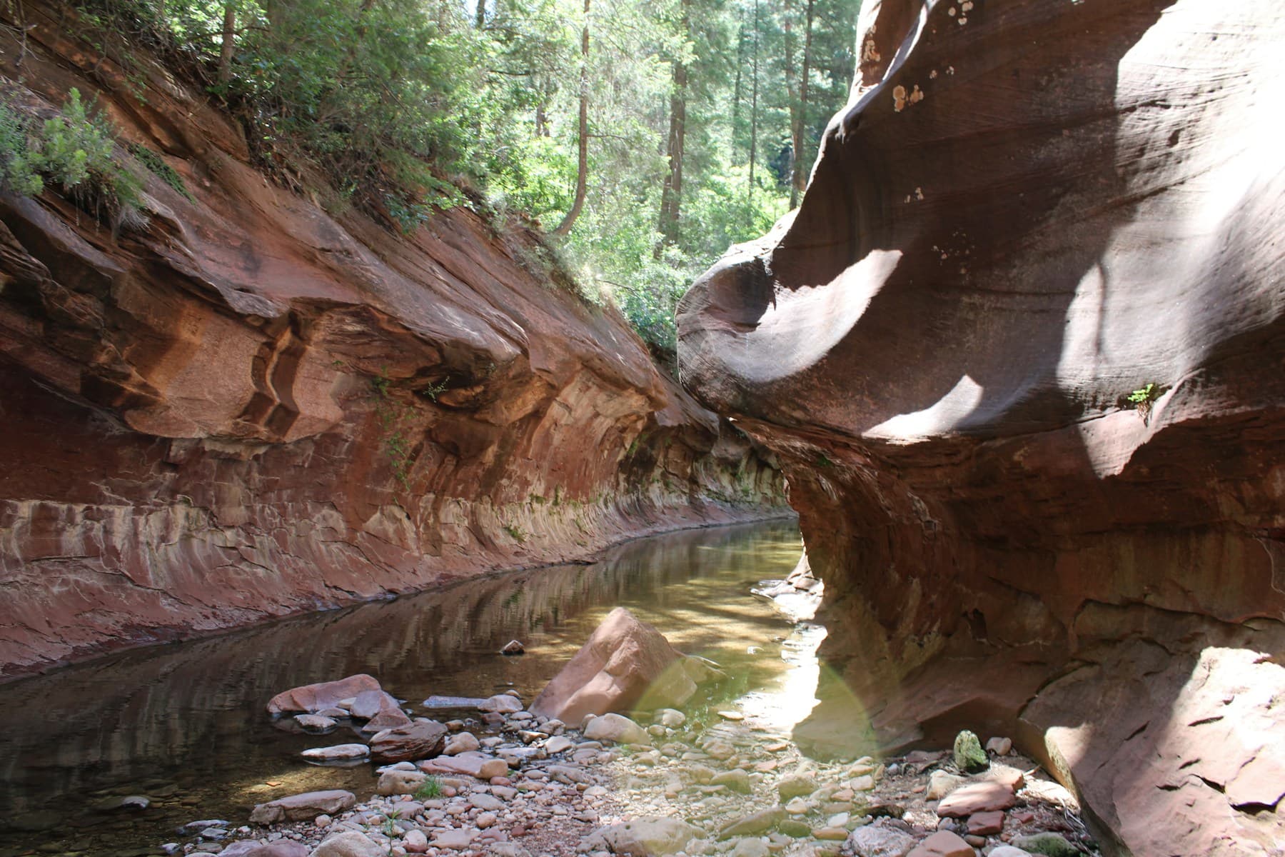 Sedona editorial scene