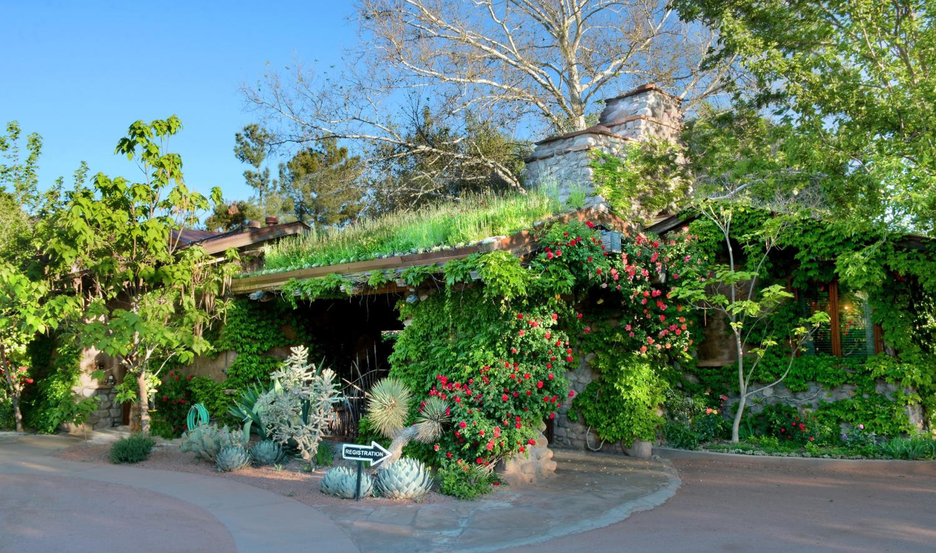 El Portal Sedona Hotel exterior wrapped in ivy and roses beneath a grass-topped roofline.